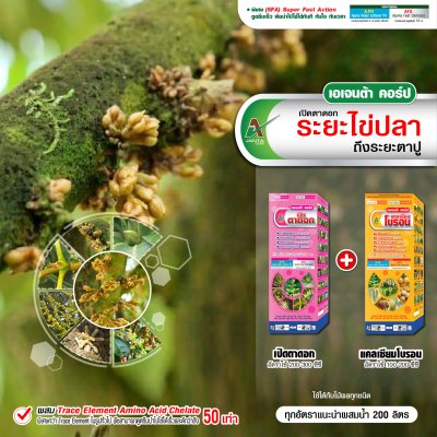 ระยะไข่ปลา