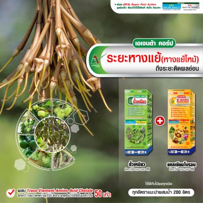 ระยะหางแย้
