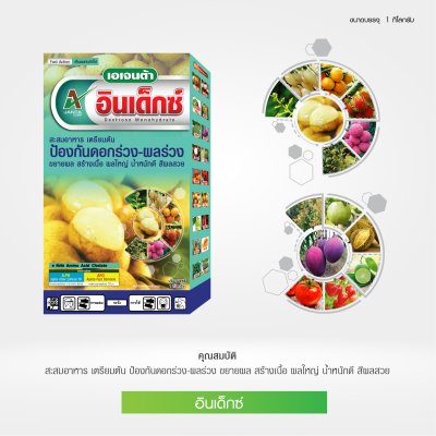 อินเด็กซ์ น้ำตาลทางด่วน