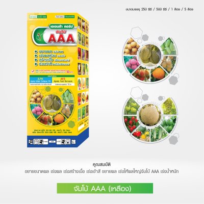 จัมโบ้ AAA ขยายผลใหญ่