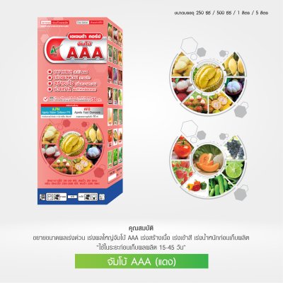 จัมโบ้ AAA ขยายผลก่อนเก็บ