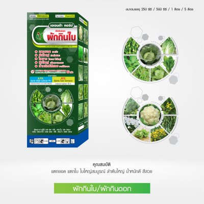 ผักกินดอก ผักกินใบ