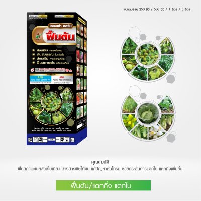 ฟื้นต้น แตกใบ แตกกิ่ง