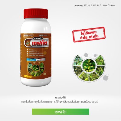 เซฟคัต