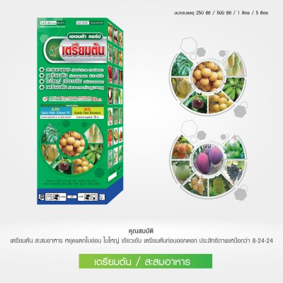 เตรียมต้น สะสมอาหาร