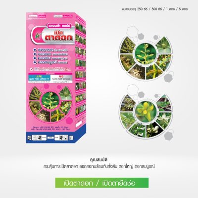 เปิดตาดอก ยืดช่อดอก