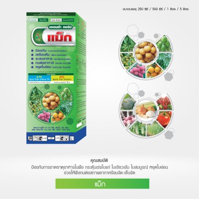 แม็กนีเซียม