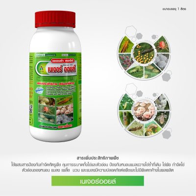 เนเจอร์ ออยล์