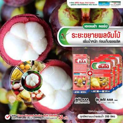 ระยะขยายผลจัมโบ้