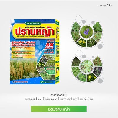 ชุดคุมฆ่า นาข้าว