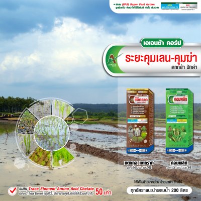ระยะคุมเลน-คุมฆ่า