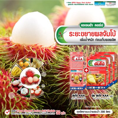 ระยะขยายผลจัมโบ้