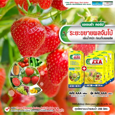 ระยะขยายผลจัมโบ้