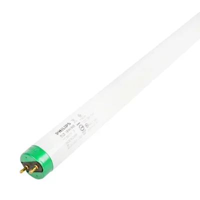 Fluorescent Lamp