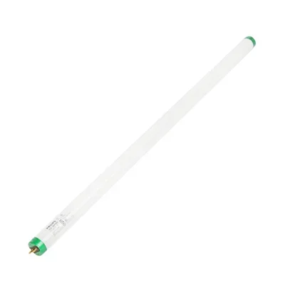 Fluorescent Lamp