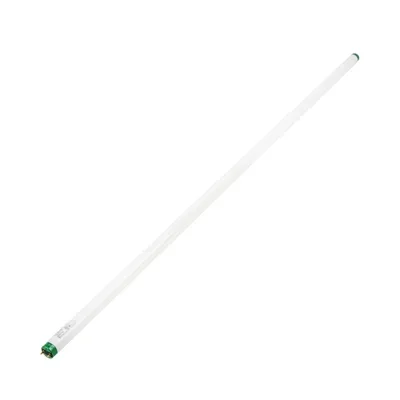 Fluorescent Lamp