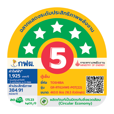โตชิบา 16.3 คิว ตู้เย็น 2 ประตู รุ่น GR-RT624WE-PGT(22) (สีกระจกดำ)