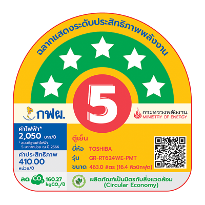 โตชิบา 16.4 คิว ตู้เย็น 2 ประตู รุ่น GR-RT624WE-PMT(06)