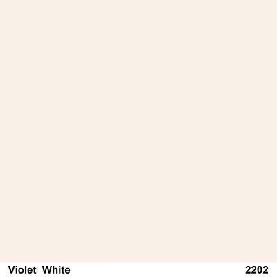 สีเคลือบเงาลองไลฟ์ 2202 Violet White กล.