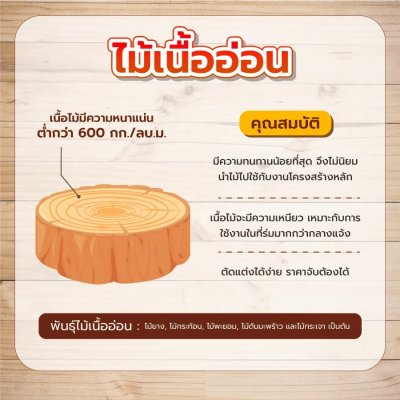 Nไม้ยางนา 1.1/2"x3"x2.5ม.