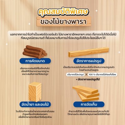 Nไม้ยางพาราอัดประสาน 12มม. เกรด CC