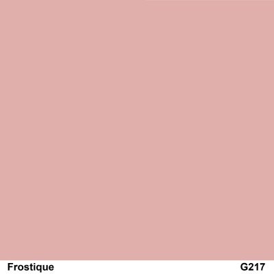 สีเคลือบเงา TOA G217 Frostique กล.