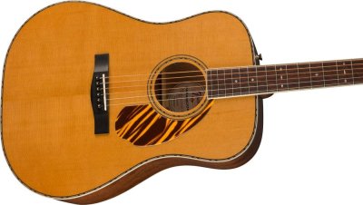 PARAMOUNT PD-220E DREADNOUGHT