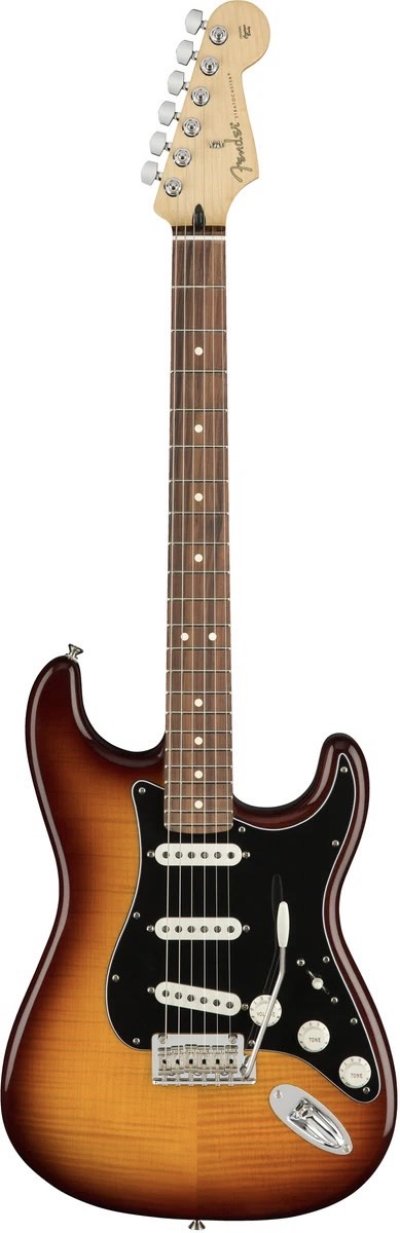 PLAYER STRATOCASTER® PLUS TOP