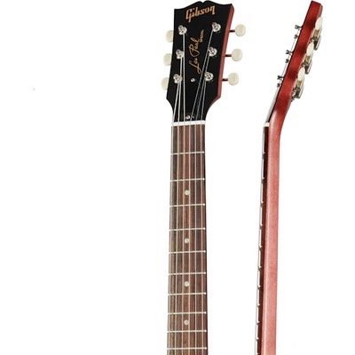 LP SPECIAL TRIBUTE - HUMBUCKER