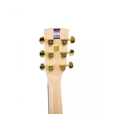 DM100