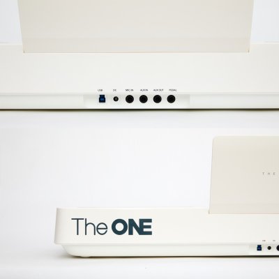 The ONE  Light