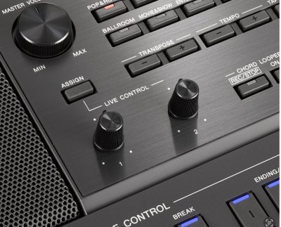 PSR-SX900