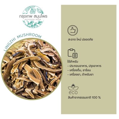 เห็ดหลินจือ 1 กิโลรัม เห็ดหลินจืออบแห้ง Lingzhi mushroom