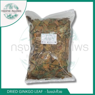 ใบแปะก๊วยอบแห้ง 1 กิโลกรัม | Dried Ginkgo Leaf วัตถุดิบสมุนไพร