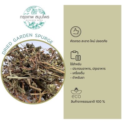 น้ำนมราชสีห์อบแห้ง 1 กิโลกรัม น้ำนมราชสีห์ Dried Garden spurge