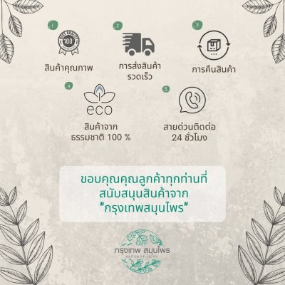 ข่าอบแห้ง 1 กิโลกรัม | Dried Galangal วัตถุดิบอาหารและเครื่องสำอาง