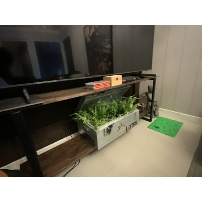 KADStudio ชั้นวางทีวีไม้โอ๊คขาเหล็กดำ (K163)