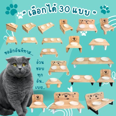 KADStudio PetBlow ที่ให้อาหาร 3 ช่อง (K6)