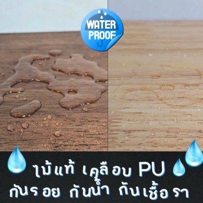 KADStudio PetBlow ถาดขากลม 1 ช่อง (K10)