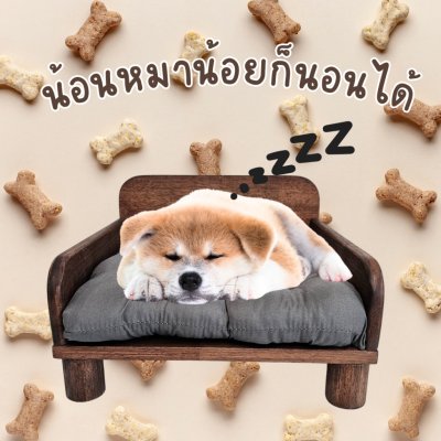 KADStudio เตียงแมวไม้แท้ PetBed แถมเบาะนุ่ม (K197)