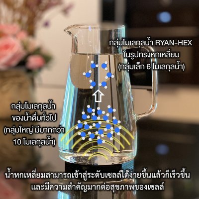 น้ำหกเหลี่ยม น้ำโมเลกุลเล็ก น้ำแม่เหล็ก น้ำ RO น้ำอัลคาไลน์ น้ำด่าง น้ำไฮโดรเจน น้ำแร่ธรรมชาติ น้ำดื่มธรรมชาติ