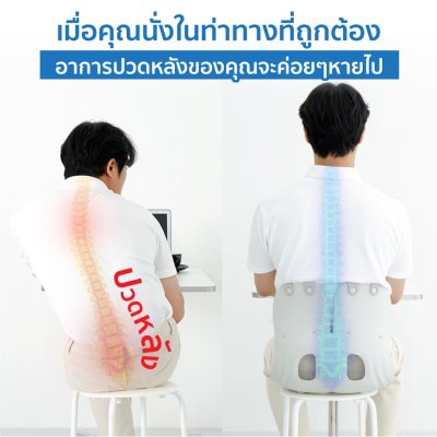 Curble Grand เบาะรองนั่งเพื่อสุขภาพ ปรับท่านั่ง เก้าอี้เสริมเพื่อสุขภาพ สำหรับผู้ใหญ่