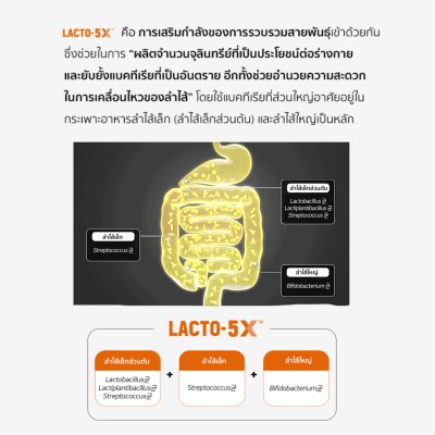 Lacto-Fit สูตรใหม่ กล่อง 10 ซอง