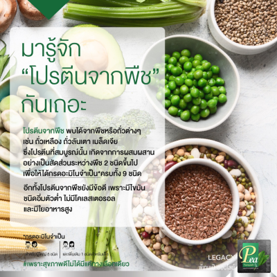 โปรตีนจากพืชคืออะไร
