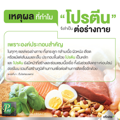 ทำไมโปรตีนจำเป็นต่อร่างกาย