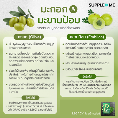 ส่วนผสมชาเขียว Matcha Latte
