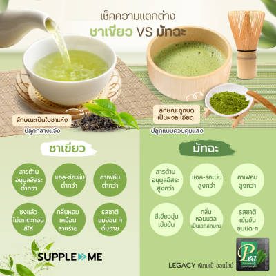 ชาเขียวมัทฉะคืออะไร
