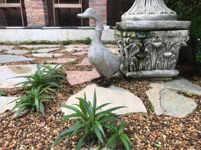 Botanical Garden
