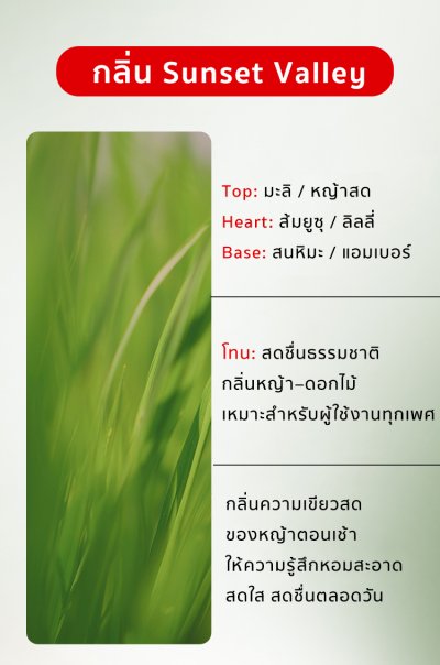 เครื่องกระจายกลิ่นหอม แบบฝังภายในรถ สำหรับรถยนต์ทุกรุ่น น้ำหอมติดรถยนต์ กลิ่นหอมยาวนาน