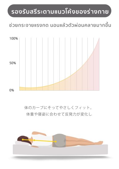 The Camp เตียงเป่าลมในรถ BYD Sealion 7 กางง่าย หลับเต็มอิ่ม ใช้ได้จริง